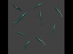 territorio magico - insetti Modello 3D