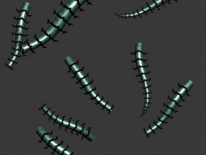 magic territory - insects Modelo 3D
