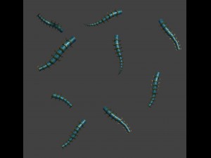 magic territory - insects Modelo 3D