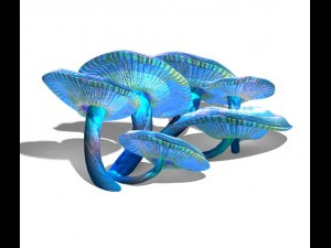 es dan salju - jamur aneh Model 3D