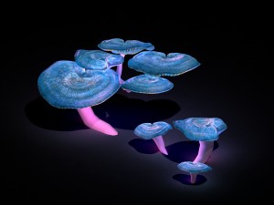 ice and snow - strange mushroom Model 3D