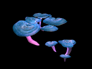 ice and snow - strange mushroom Model 3D