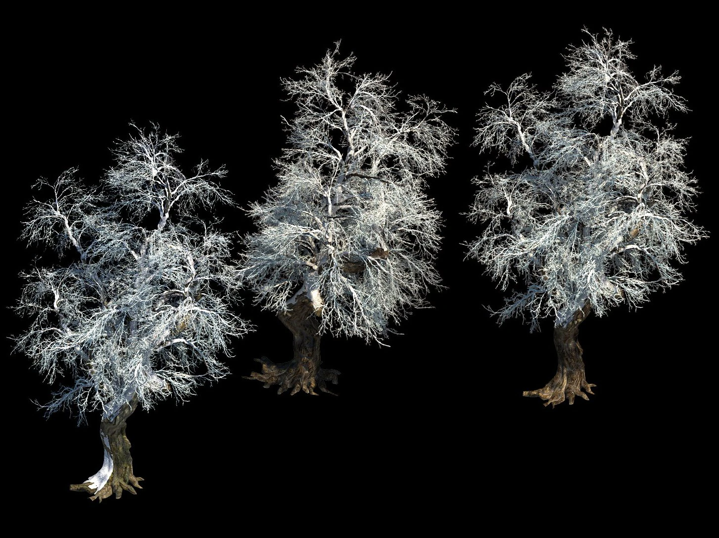 ice and snow - rime 3D Model .c4d .max .obj .3ds .fbx .stl .blend 