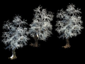 ice and snow - rime Modelo 3D