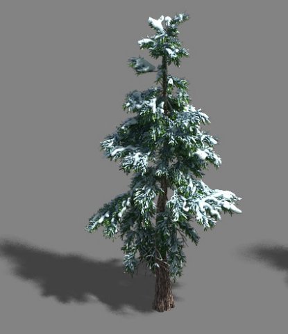 ice and snow - cedar 01 3D मॉडल .c4d .max .obj .3ds .fbx .stl .blend 