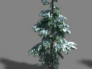 ice and snow - cedar 01 3Dモデル