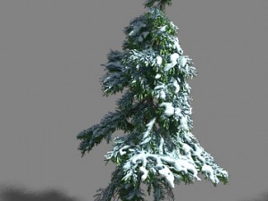 ice and snow - cedar 01 3D मॉडल