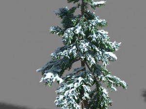 ice and snow - cedar 01 3D मॉडल