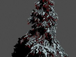 ice and snow - cedar 01 3D Model