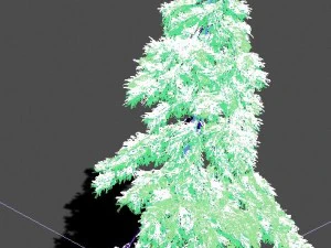 ice and snow - cedar 01 3D Model