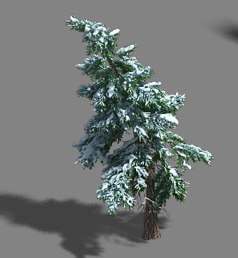 ice and snow - cedar 02 3D Модель .c4d .max .obj .3ds .fbx .stl .blend 