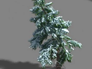 лед и снег &ndash; кедр 02 3D Модель