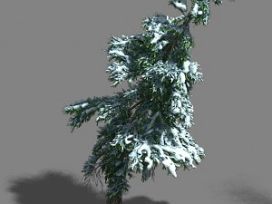 ice and snow - cedar 02 3D Модель