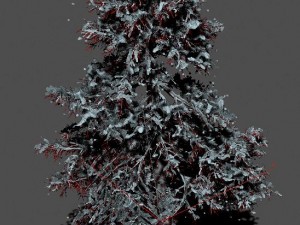 ice and snow - cedar 02 3D Модель