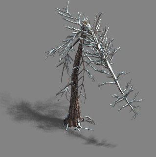 ice and snow - cedar 03 Model 3D .c4d .max .obj .3ds .fbx .stl .blend 