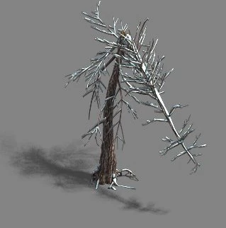 ice and snow - cedar 03 3D Model .c4d .max .obj .3ds .fbx .stl .blend