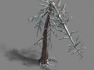 ice and snow - cedar 03 3D Model