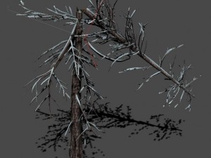 ice and snow - cedar 03 Model 3D