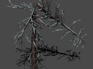 ice and snow - cedar 03 3D Model