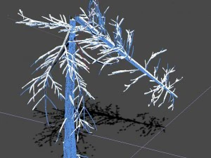 ice and snow - cedar 03 3D Model
