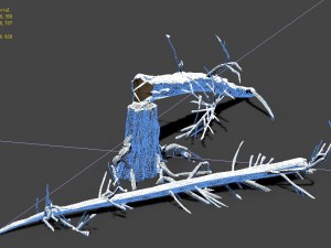 ice and snow - cedar 04 3D Model