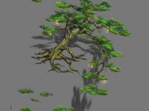 zen - cliff pine 3D Model