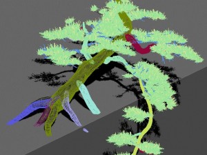zen - cliff pine Modelo 3D