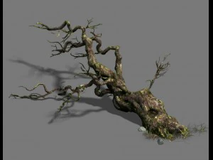 fell to the ground to rotten trees 3D Model