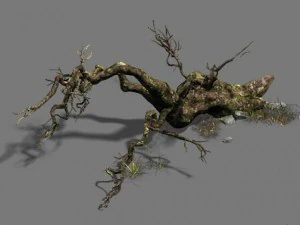 fell to the ground to rotten trees 3D Model