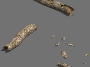 fell to the ground decay tree 02 3D 模型