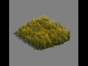 paddy field - scarecrow 3D Model