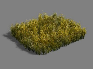 paddy field - scarecrow 3D Model