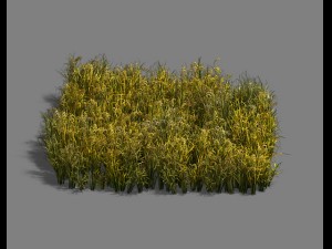 paddy field - scarecrow 3D Model