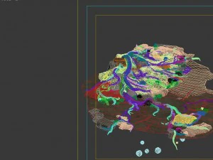 the surface - the tree that was cut off 3D Model