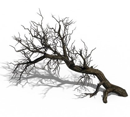 winter snow - dead tree 02 3D Model .c4d .max .obj .3ds .fbx .stl .blend 