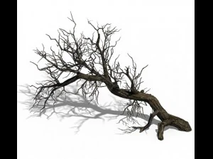शीतकालीन बर्फ - मृत पेड़ 02 3D मॉडल