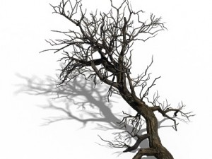 winter snow - dead tree 02 3D Model