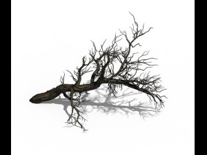 winter snow - dead tree 02 3D Model