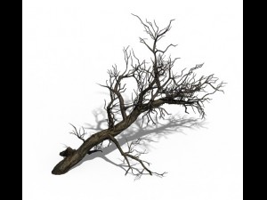 winter snow - dead tree 02 3D Model