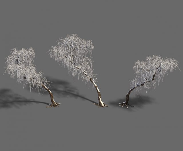 winter snow - tree Model 3D .c4d .max .obj .3ds .fbx .stl .blend 