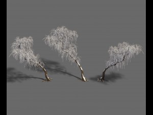 winter snow - tree Modèle 3D