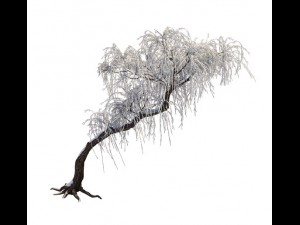 winter snow - tree Model 3D