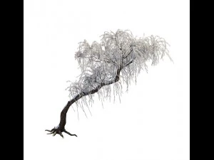 winter snow - tree 3D Model