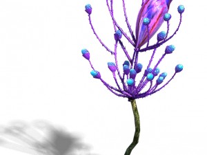 wizard of the forest - supernatural flowers 02 3D Модель
