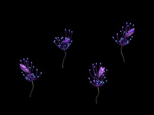 wizard of the forest - supernatural flowers 02 3D Модель