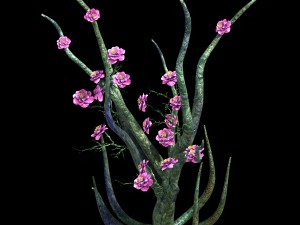 wizard forest - supernatural flowers 04 3D मॉडल