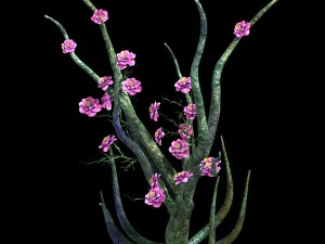 wizard forest - supernatural flowers 04 3D Model
