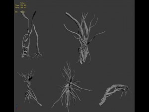 wizard forest - roots 3D Модель