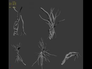 wizard forest - roots 3D Model