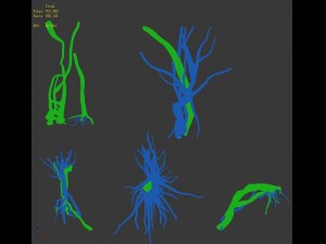 wizard forest - roots 3D Модель